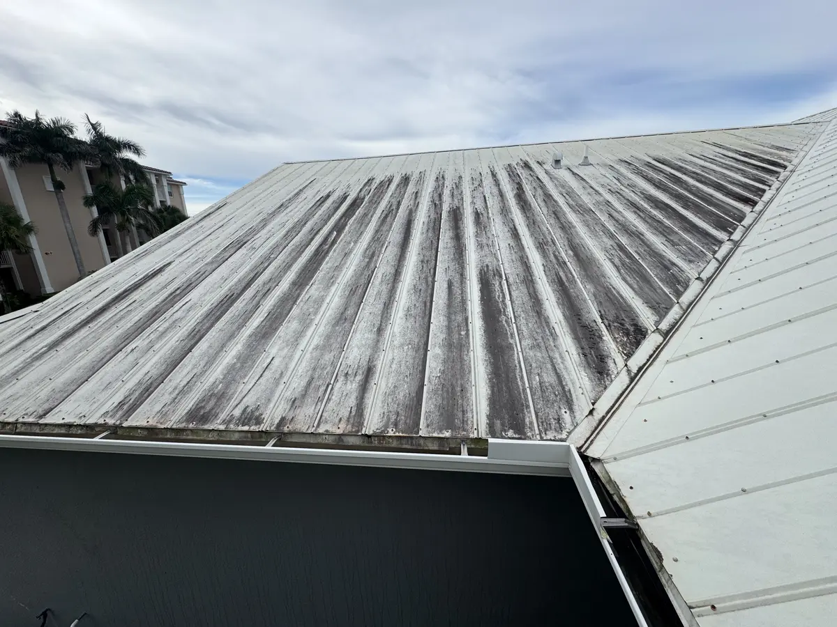 A metal roof section covered in dark organic staining.