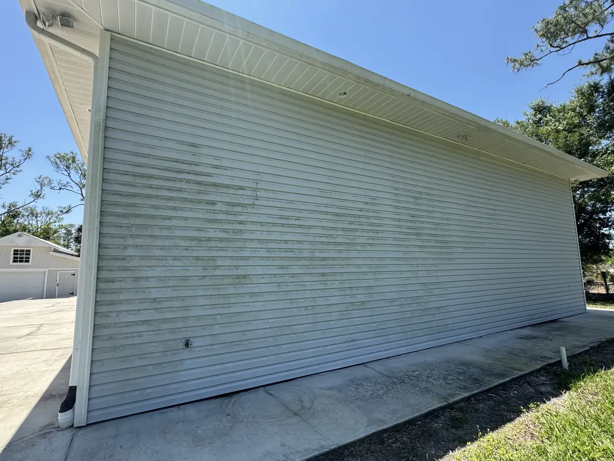 A wall of light-coloured siding with organic staining, beside a concrete path.
