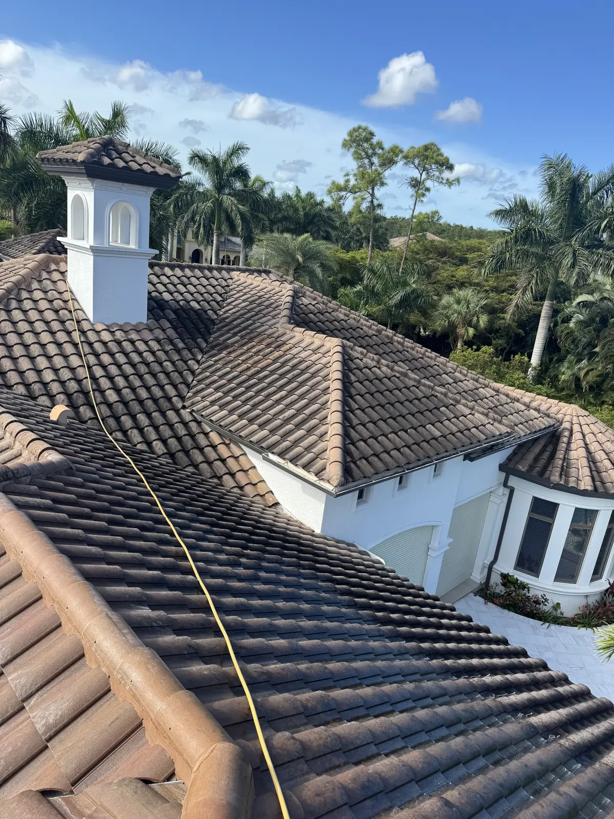A dark tile roof and white chimney against a blue sky with palm fronds.